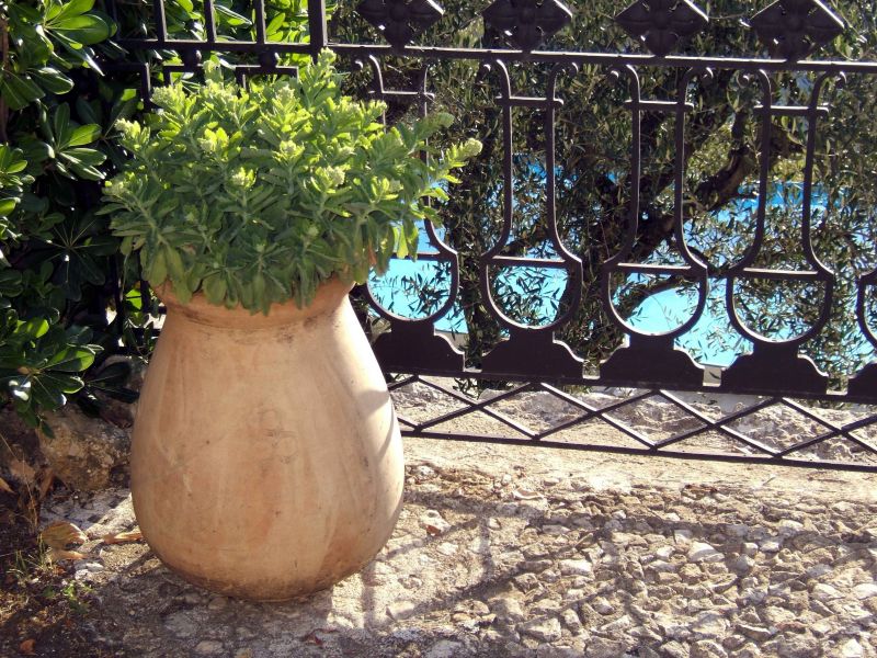 foto 17 Huurhuis van particulieren Grasse villa Provence-Alpes-Cte d'Azur Alpes-Maritimes Tuin