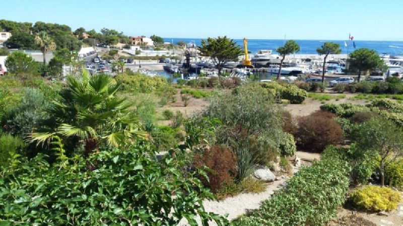 foto 8 Huurhuis van particulieren Lumio appartement Corsica Haute-Corse Uitzicht vanaf het terras