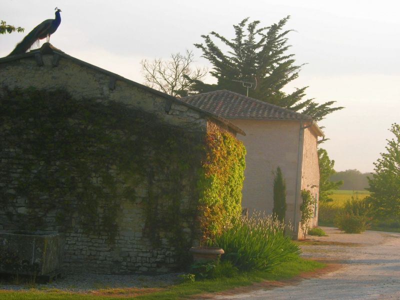 foto 21 Huurhuis van particulieren La Rochelle gite Poitou-Charentes Charente-Maritime Het aanzicht van de woning