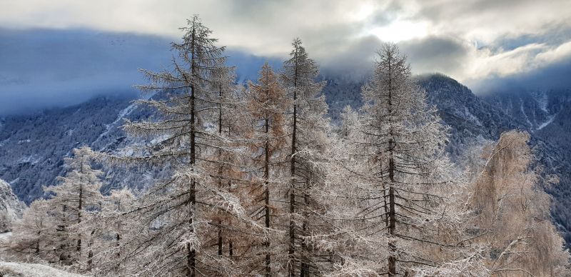 foto 14 Huurhuis van particulieren Bionaz chalet Val-dAosta Aosta (provincie) Overig uitzicht