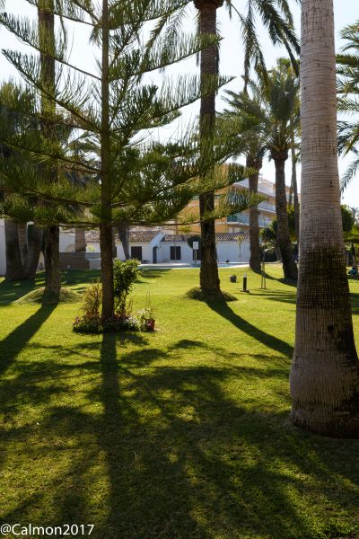 foto 4 Huurhuis van particulieren Dnia bungalow Valencia (regio) Alicante (provincia de) Tuin