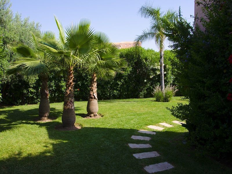 foto 1 Huurhuis van particulieren Marrakech villa   Tuin