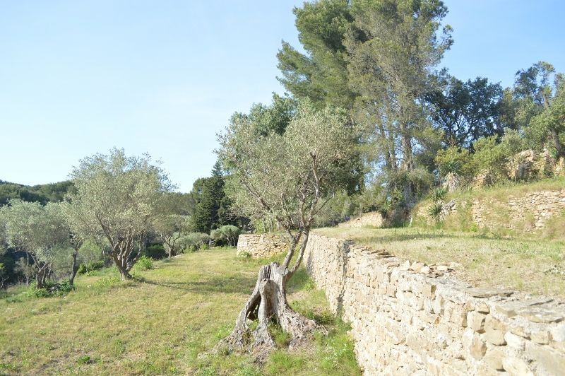 foto 25 Huurhuis van particulieren La Ciotat gite Provence-Alpes-Cte d'Azur Bouches du Rhne Tuin