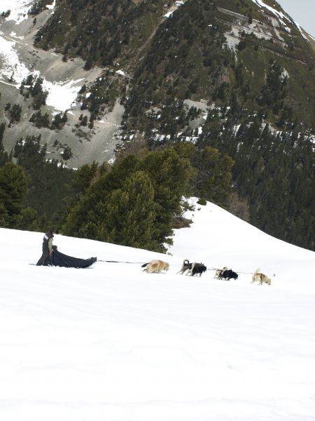 foto 27 Huurhuis van particulieren La Plagne studio Rhne-Alpes Savoie Zicht op de omgeving