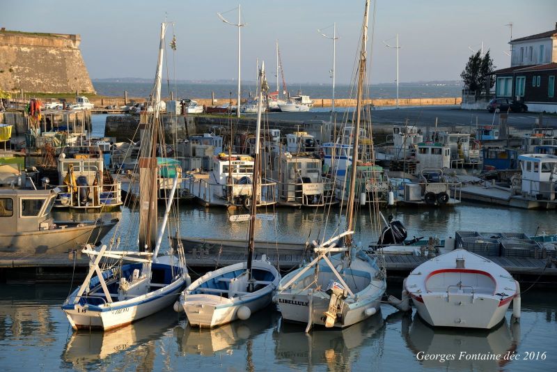 foto 10 Huurhuis van particulieren Rochefort sur Mer studio Poitou-Charentes Charente-Maritime