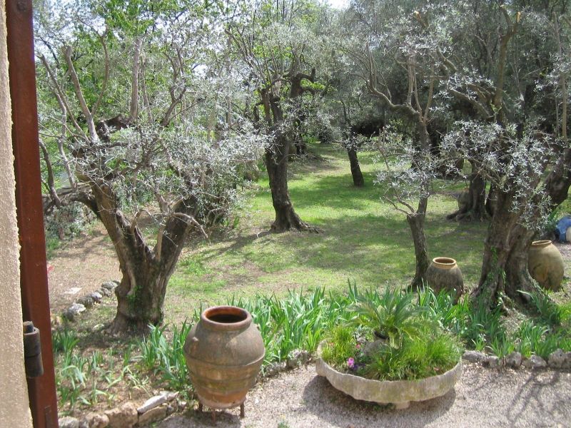 foto 5 Huurhuis van particulieren Grasse villa Provence-Alpes-Cte d'Azur Alpes-Maritimes Uitzicht vanaf de woning