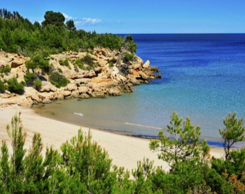 foto 17 Huurhuis van particulieren L'Ametlla de Mar chalet Cataloni Tarragona (provincia de)