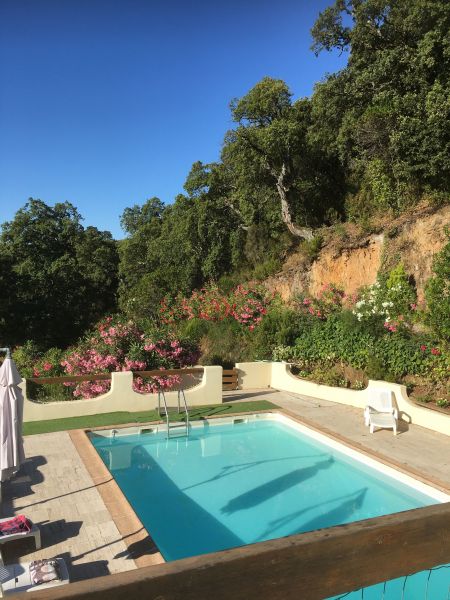 foto 2 Huurhuis van particulieren Ajaccio villa Corsica Corse du Sud Zwembad
