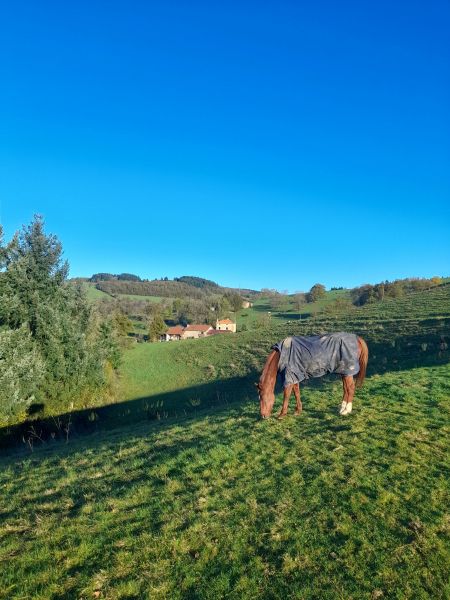 foto 12 Huurhuis van particulieren  gite Rhne-Alpes Loire