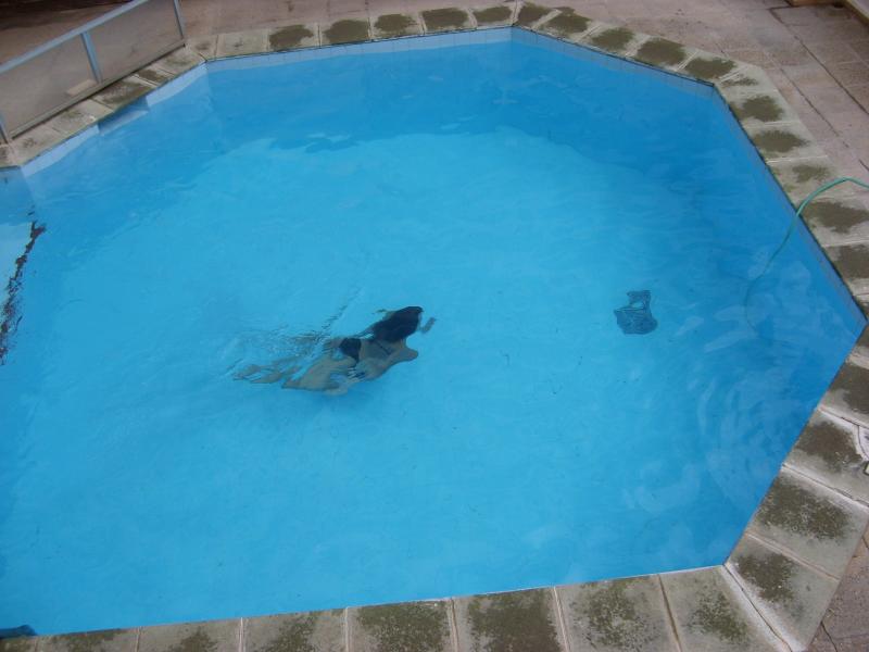 foto 1 Huurhuis van particulieren Puerto Pollensa appartement Balearen Majorca Zwembad