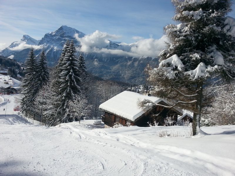 foto 20 Huurhuis van particulieren Samons studio Rhne-Alpes Haute-Savoie Zicht op de omgeving