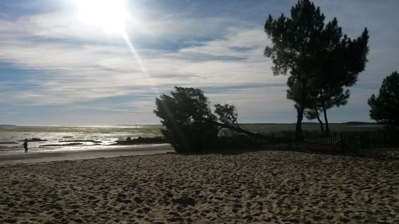 foto 15 Huurhuis van particulieren Andernos les Bains maison Aquitaine Gironde Strand