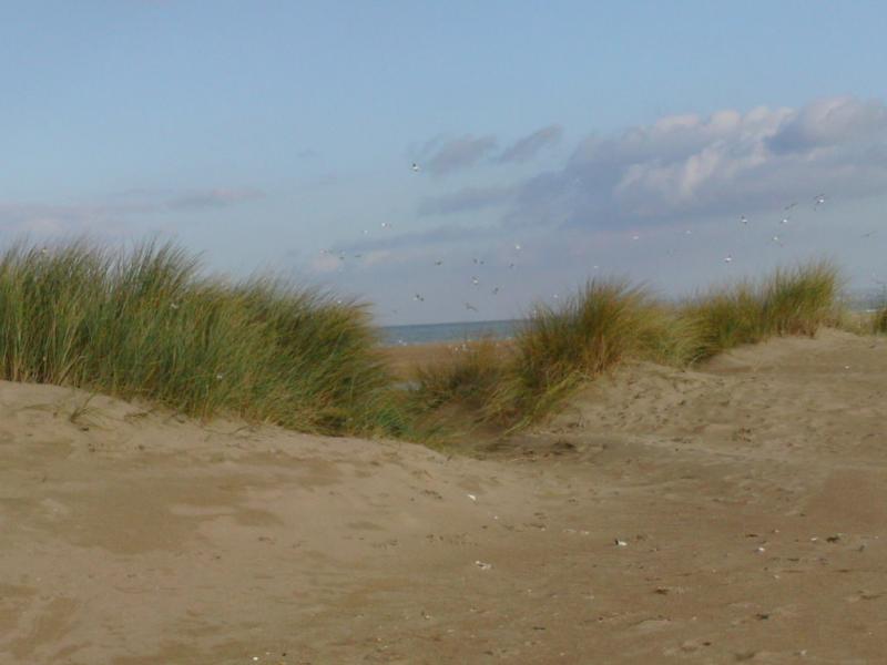 foto 13 Huurhuis van particulieren Cabourg maison Basse-Normandie Calvados Zicht op de omgeving