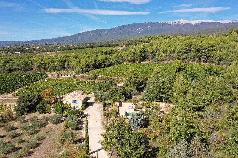foto 16 Huurhuis van particulieren Bedoin maison Provence-Alpes-Cte d'Azur Vaucluse Zicht op de omgeving