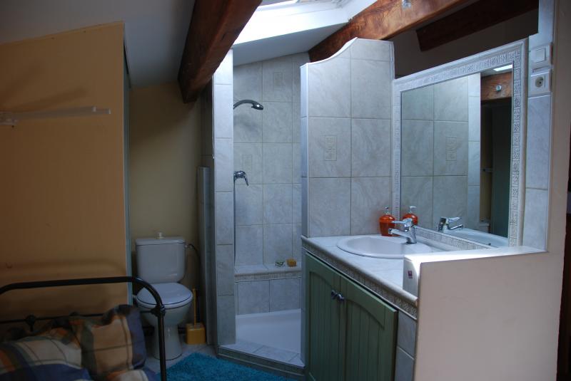 foto 4 Huurhuis van particulieren Salon de Provence gite Provence-Alpes-Cte d'Azur Bouches du Rhne badkamer