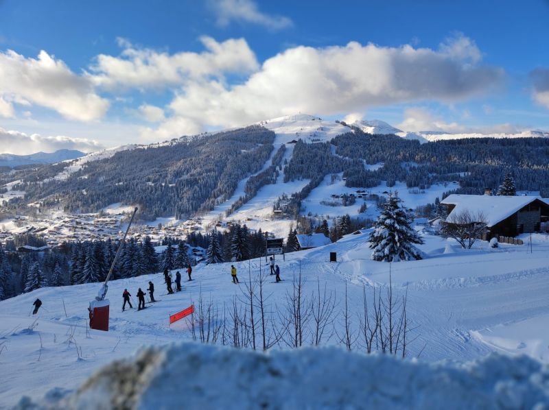 foto 9 Huurhuis van particulieren Les Gets studio Rhne-Alpes Haute-Savoie Overig uitzicht