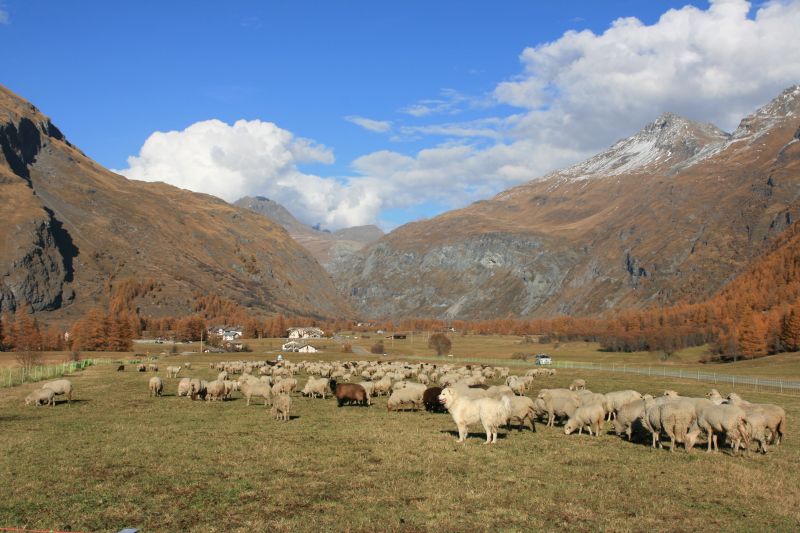 foto 14 Huurhuis van particulieren Val Cenis appartement Rhne-Alpes Savoie Overig uitzicht