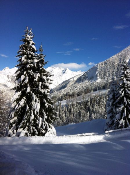 foto 13 Huurhuis van particulieren Courchevel chalet Rhne-Alpes Savoie