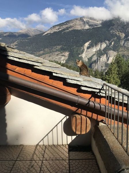 foto 17 Huurhuis van particulieren La Norma appartement Rhne-Alpes Savoie Uitzicht vanaf het terras