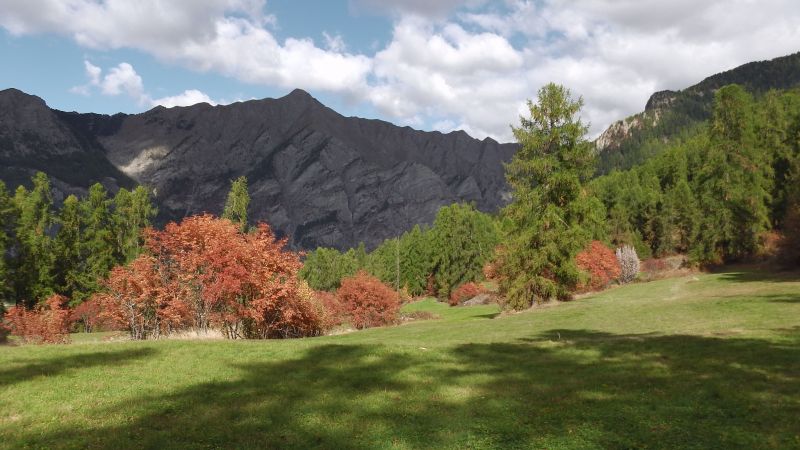 foto 19 Huurhuis van particulieren Les Orres studio Provence-Alpes-Cte d'Azur Hautes-Alpes Overig uitzicht