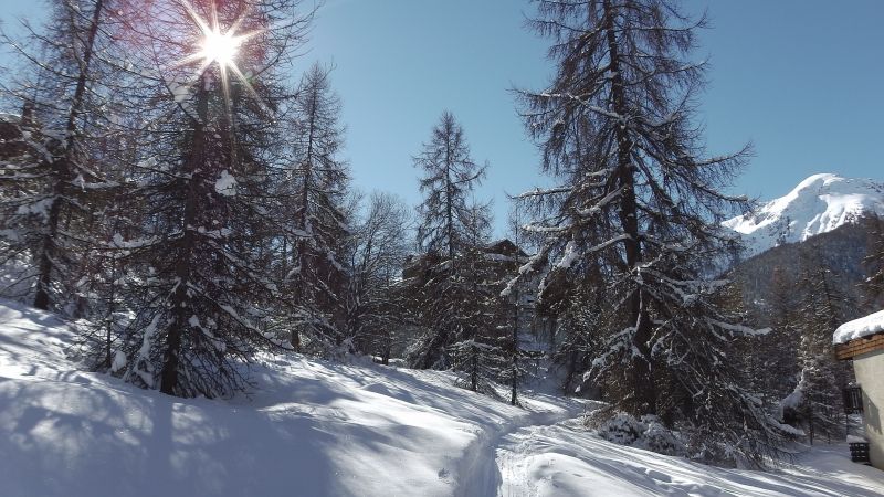 foto 15 Huurhuis van particulieren Les Orres studio Provence-Alpes-Cte d'Azur Hautes-Alpes Zicht op de omgeving