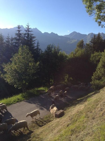 foto 24 Huurhuis van particulieren Les Arcs chalet Rhne-Alpes Savoie Uitzicht vanaf het terras
