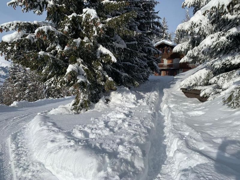 foto 1 Huurhuis van particulieren Les Arcs chalet Rhne-Alpes Savoie Het aanzicht van de woning