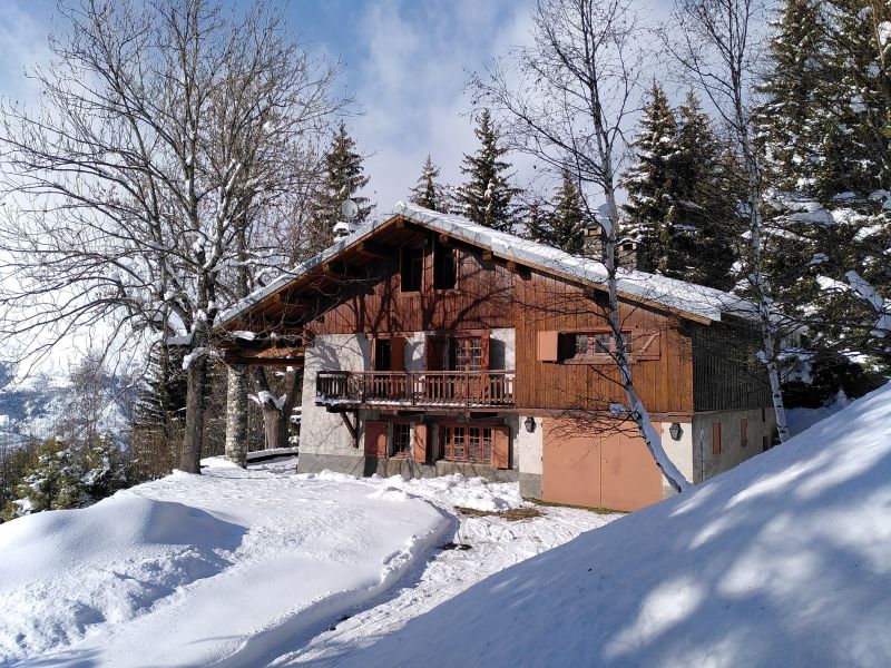 foto 29 Huurhuis van particulieren Les Arcs chalet Rhne-Alpes Savoie Zicht op de omgeving