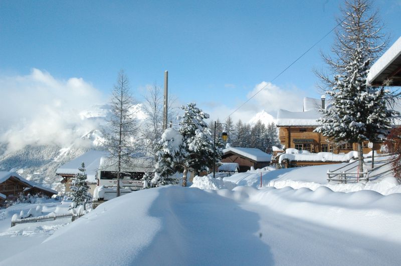 foto 14 Huurhuis van particulieren La Plagne chalet Rhne-Alpes Savoie Zicht op de omgeving