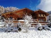 Vakantiewoningen Franse Alpen voor 23 personen: chalet nr. 2248