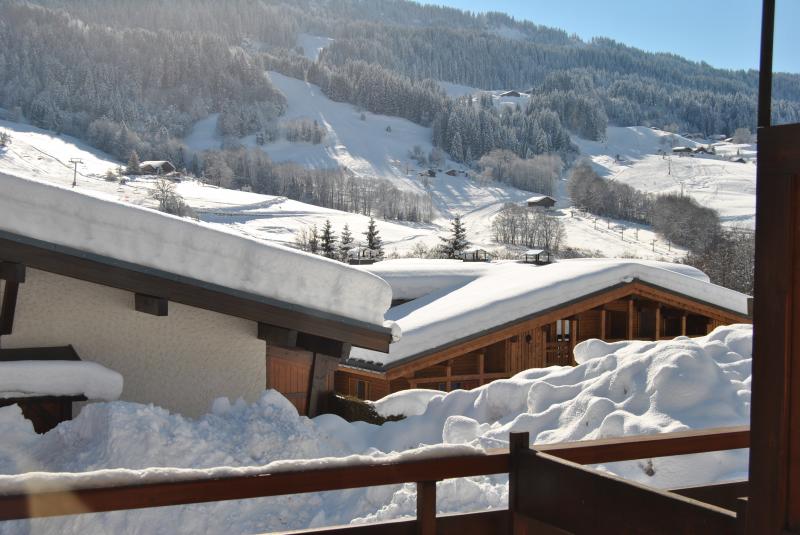 foto 27 Huurhuis van particulieren Praz sur Arly studio Rhne-Alpes Haute-Savoie Uitzicht vanaf de woning