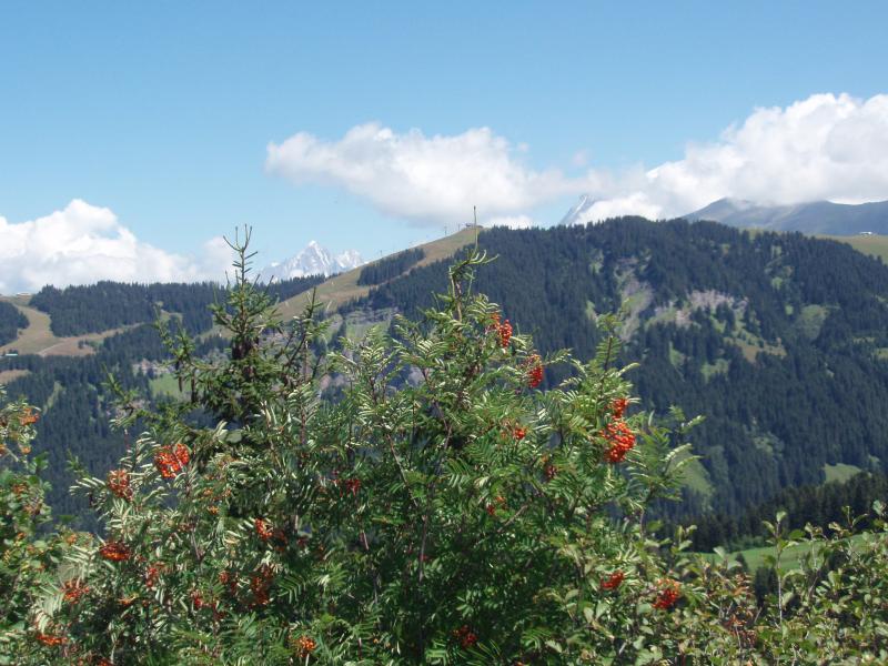 foto 17 Huurhuis van particulieren Praz sur Arly appartement Rhne-Alpes Haute-Savoie Overig uitzicht