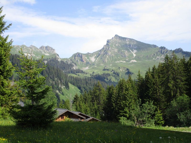 foto 9 Huurhuis van particulieren Praz de Lys Sommand studio Rhne-Alpes Haute-Savoie