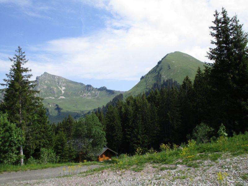 foto 8 Huurhuis van particulieren Praz de Lys Sommand studio Rhne-Alpes Haute-Savoie