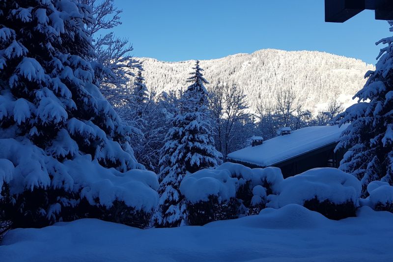 foto 0 Huurhuis van particulieren Megve appartement Rhne-Alpes Haute-Savoie