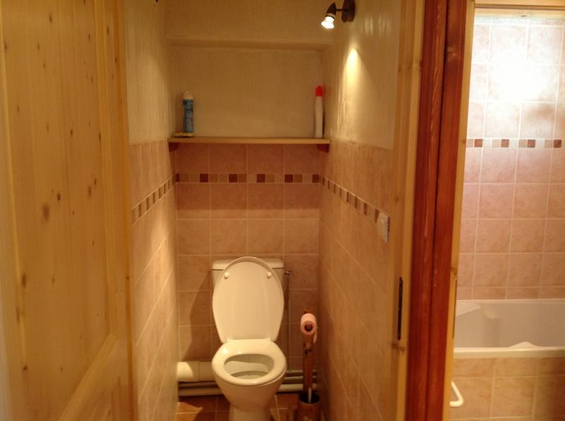 foto 19 Huurhuis van particulieren Pralognan la Vanoise appartement Rhne-Alpes Savoie Apart toilet