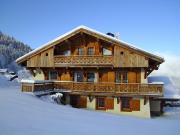 Vakantiewoningen wintersportplaats Chamonix Mont-Blanc: chalet nr. 2571