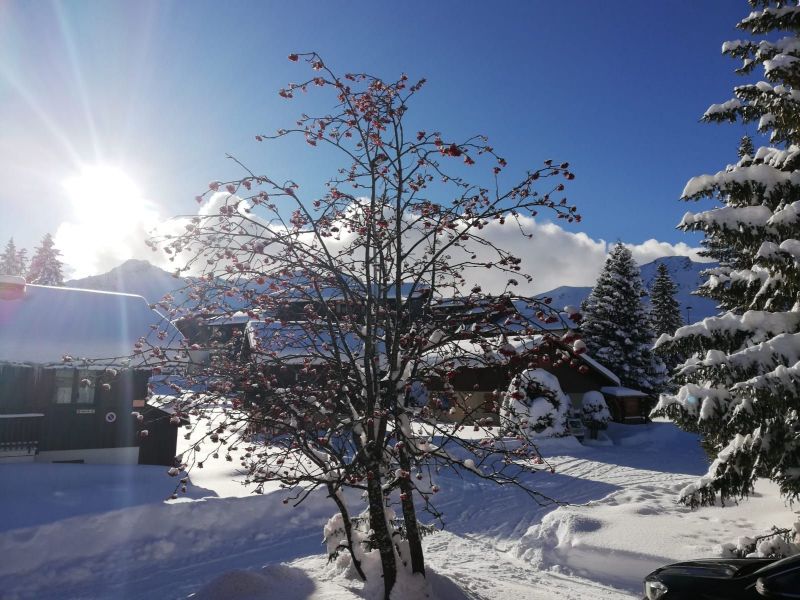 foto 1 Huurhuis van particulieren Praz de Lys Sommand chalet Rhne-Alpes Haute-Savoie Zicht op de omgeving