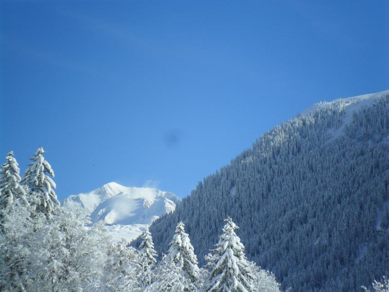 foto 17 Huurhuis van particulieren Les Saisies appartement Rhne-Alpes Savoie Zicht op de omgeving