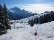 Vakantiewoningen wintersportplaats Massief Van Aravis: appartement nr. 29716