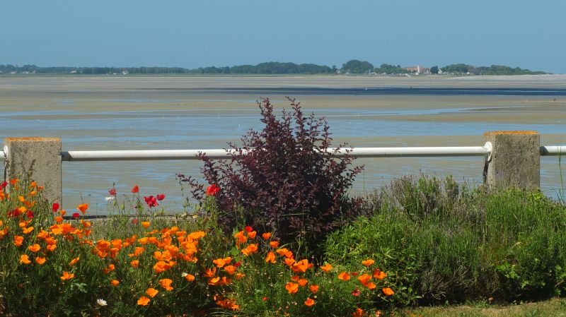 foto 7 Huurhuis van particulieren Le Crotoy appartement Picardi Somme Uitzicht vanaf het terras