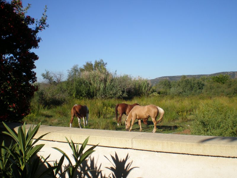 foto 5 Huurhuis van particulieren Frontignan maison Languedoc-Roussillon Hrault Uitzicht vanaf de woning