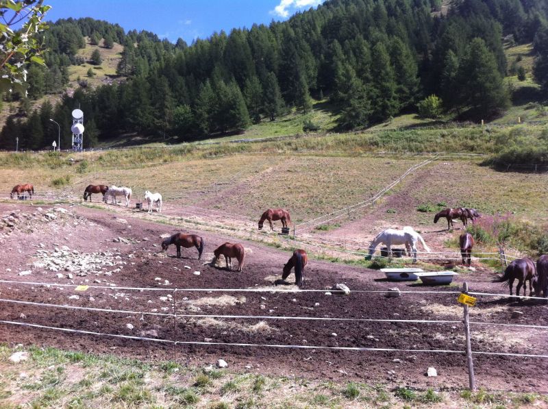 foto 28 Huurhuis van particulieren La Foux d'Allos studio Provence-Alpes-Cte d'Azur Alpes de Haute-Provence Overig uitzicht