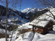 Vakantiewoningen Albertville: chalet nr. 358