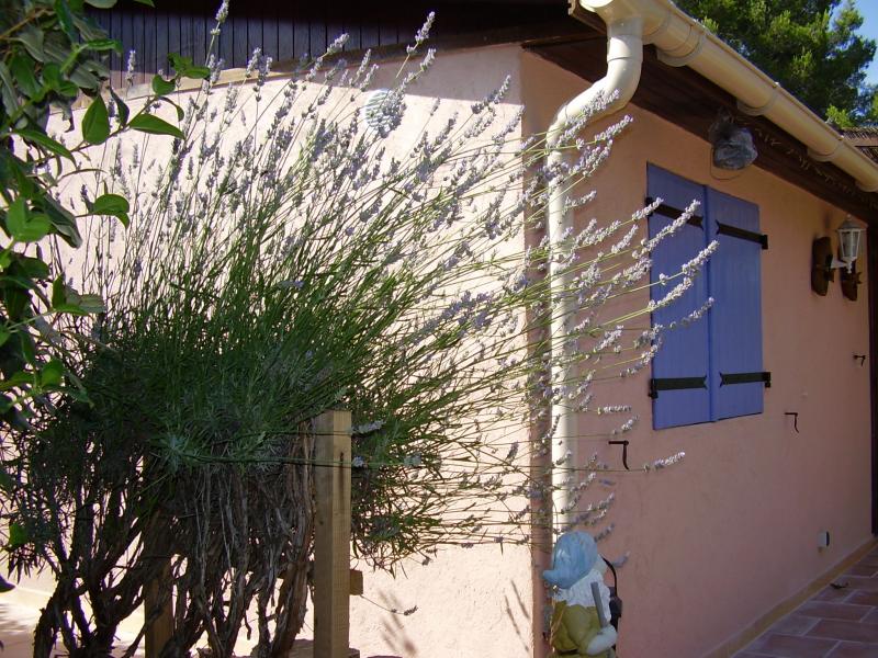 foto 7 Huurhuis van particulieren Le Castellet bungalow Provence-Alpes-Cte d'Azur Var Het aanzicht van de woning