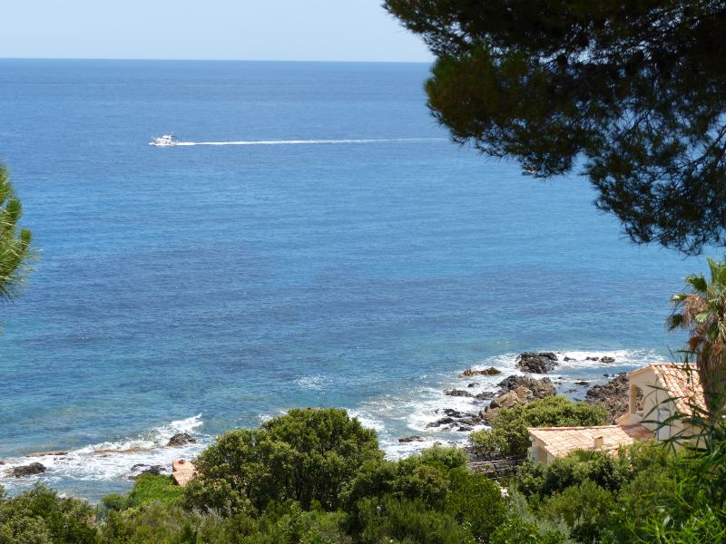 foto 3 Huurhuis van particulieren Ste Lucie de Porto Vecchio maison Corsica Corse du Sud Uitzicht vanaf het balkon