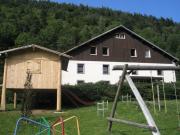 Vakantiewoningen berggebied Grardmer: appartement nr. 4539