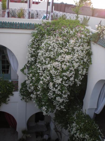 foto 24 Huurhuis van particulieren Marrakech chambrehote   Uitzicht vanaf het terras