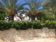 Vakantiewoningen Lecce (Provincie): appartement nr. 46292