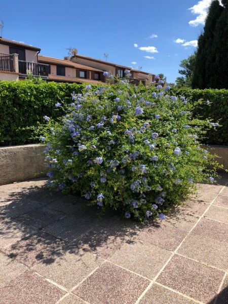 foto 17 Huurhuis van particulieren Cap d'Agde bungalow Languedoc-Roussillon Hrault Terras